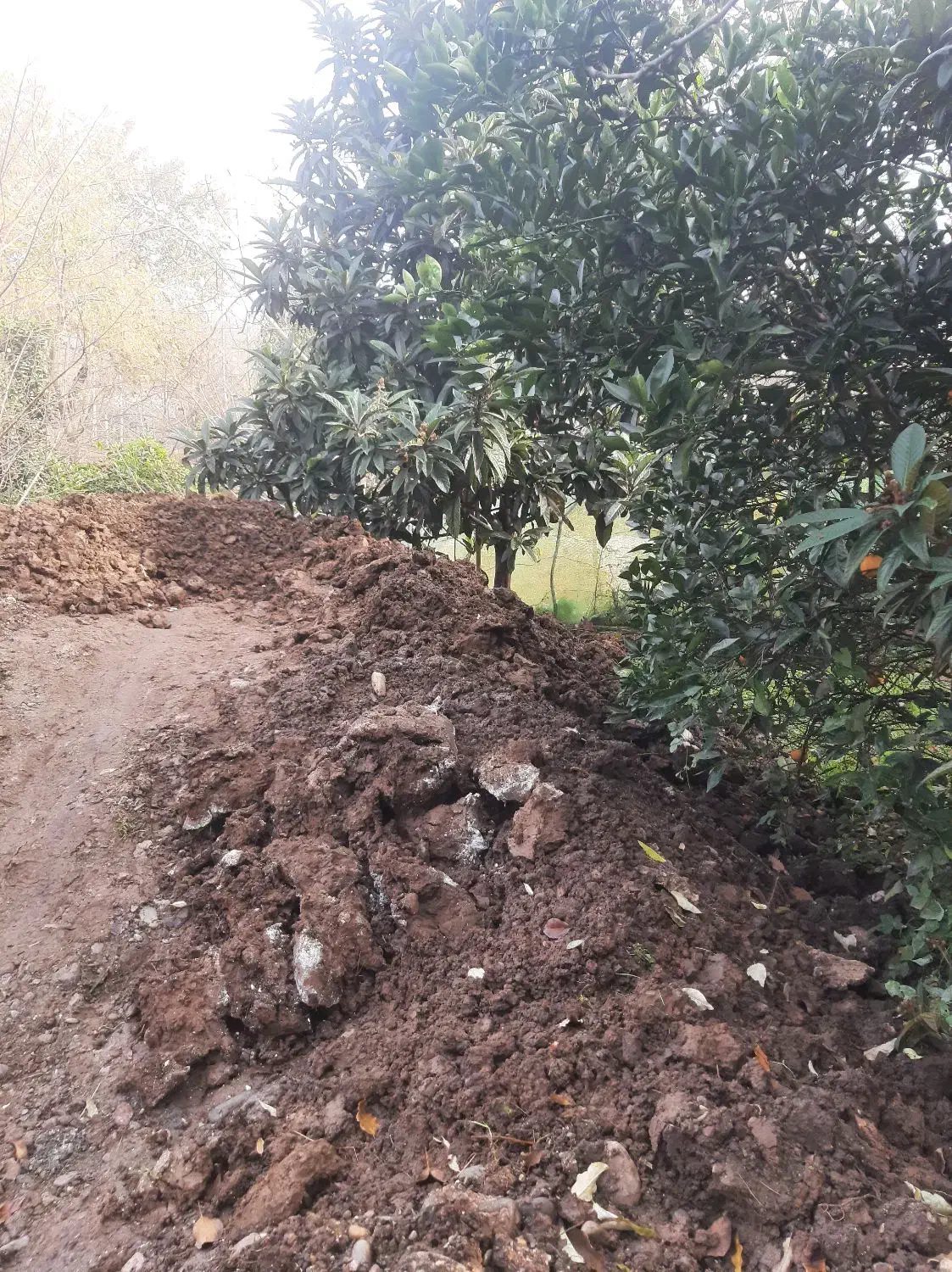 خاک و گِل برای فروش - گِل زمین شخصی|مصالح و تجهیزات ساختمان|ماسال, |دیوار