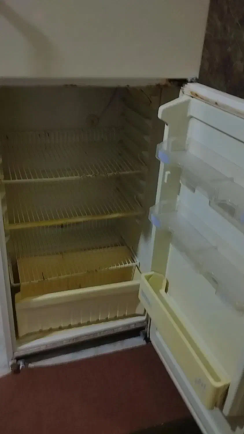 یخچال فلیور|یخچال و فریزر|گنبد کاووس, |دیوار