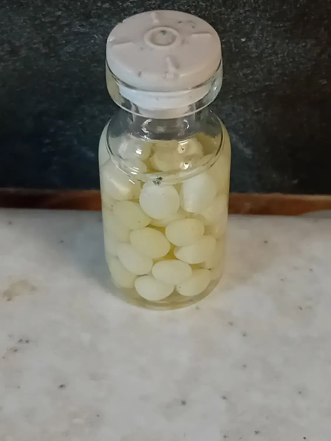 خاویار حلزون|خزنده|ساوه, |دیوار