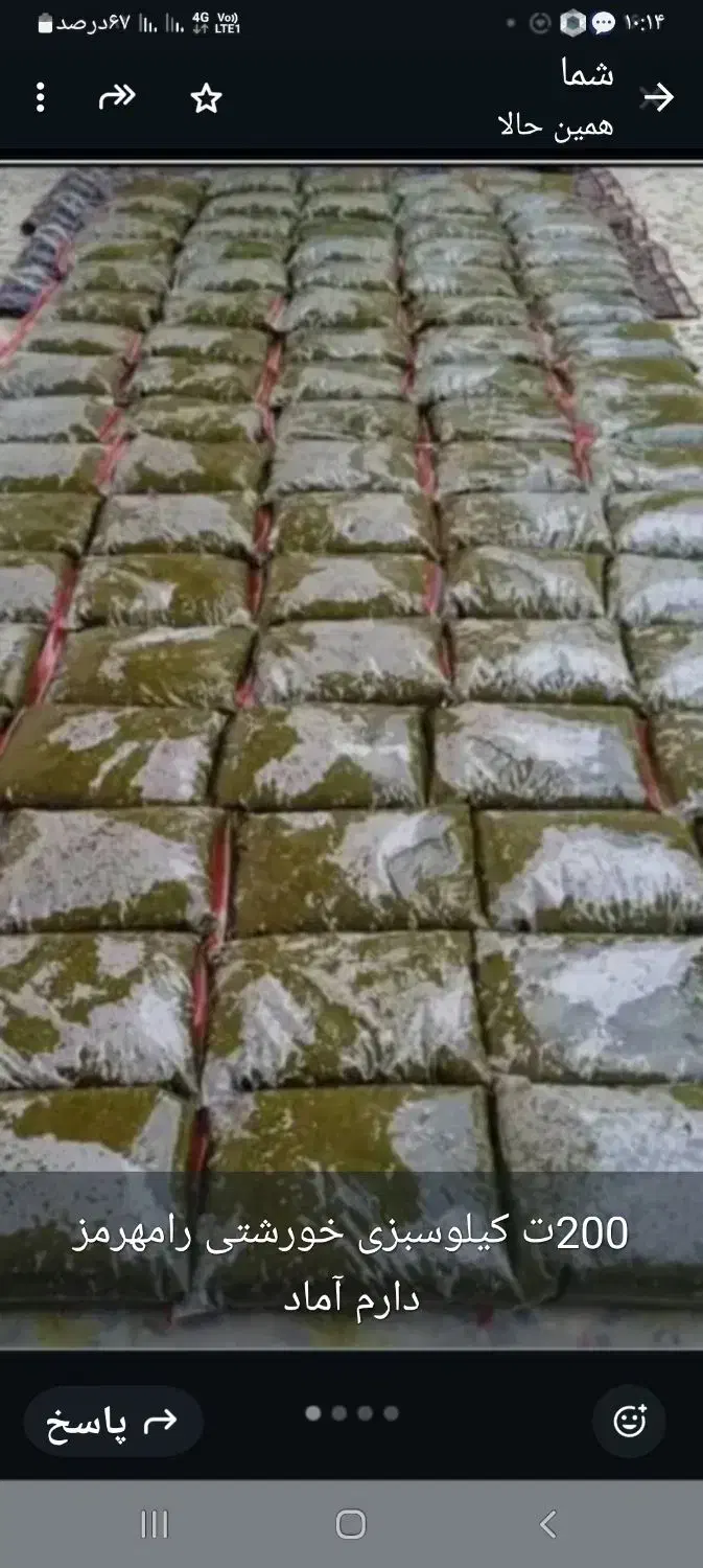 عنوا سبزی خام رامهرمزارسال به سرتاسرکشور|خوردنی و آشامیدنی|اصفهان, دانشگاه افسری امیرالمومنین|دیوار