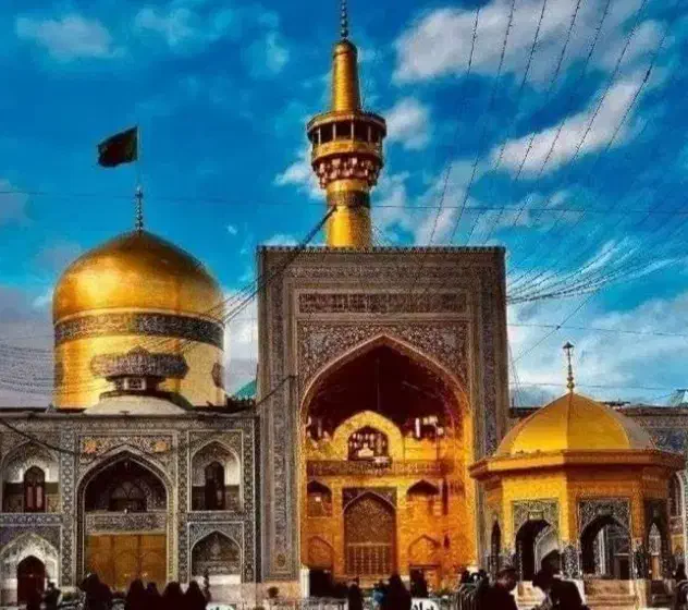 تور|تور و چارتر|بوشهر, |دیوار