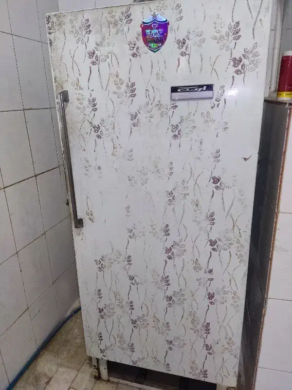 یخچال|یخچال و فریزر|یزد, |دیوار