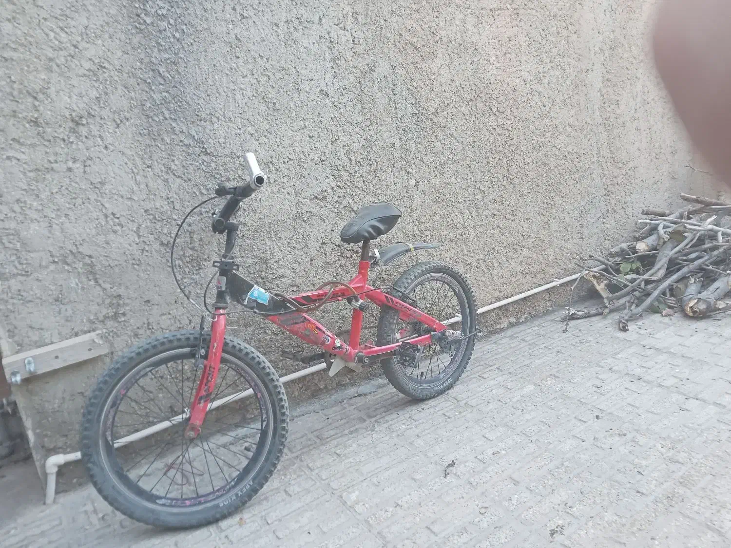 دوچرخه ۲ عدد|دوچرخه، اسکیت، اسکوتر|ایوان, |دیوار