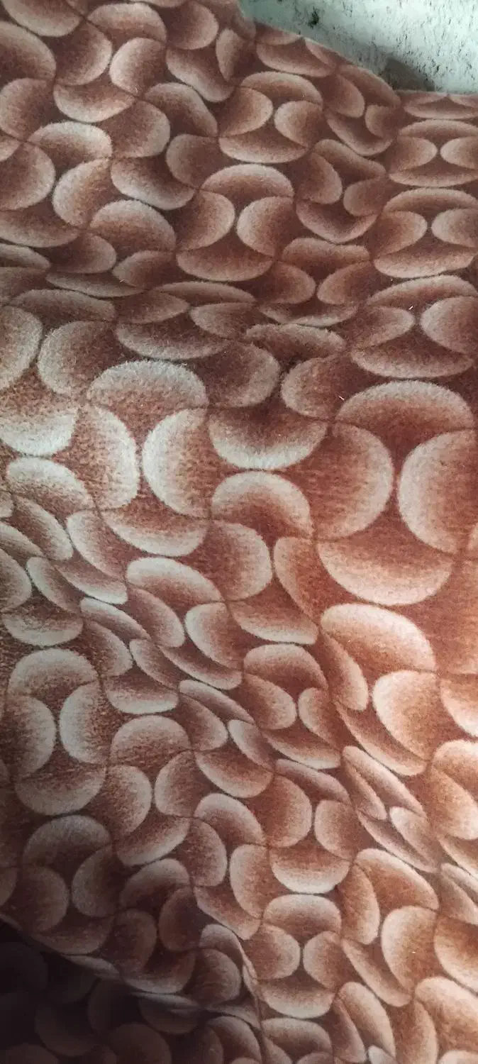 موکت درحدنو|موکت|ماکو, |دیوار