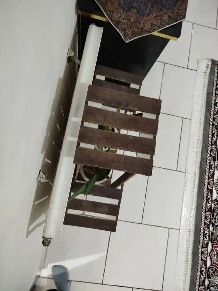 دوعدد گلدون و تنگ ماهی  گلدون وگیا سانسوریا|ماهی|پرند, فاز ۶|دیوار