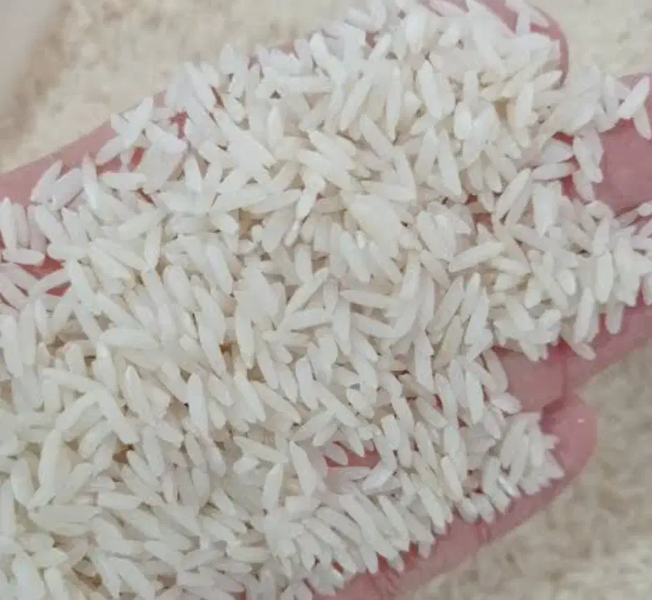 برنج طارم هاشمی (کشاورز)|خوردنی و آشامیدنی|قائمشهر, |دیوار