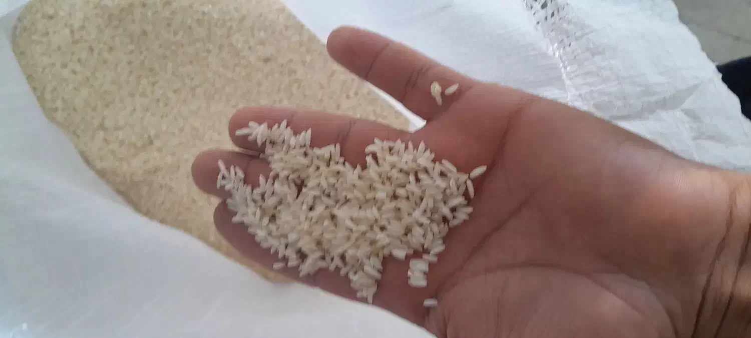 فروش برنج کاظمی ۲۵۵|خوردنی و آشامیدنی|دورود, |دیوار