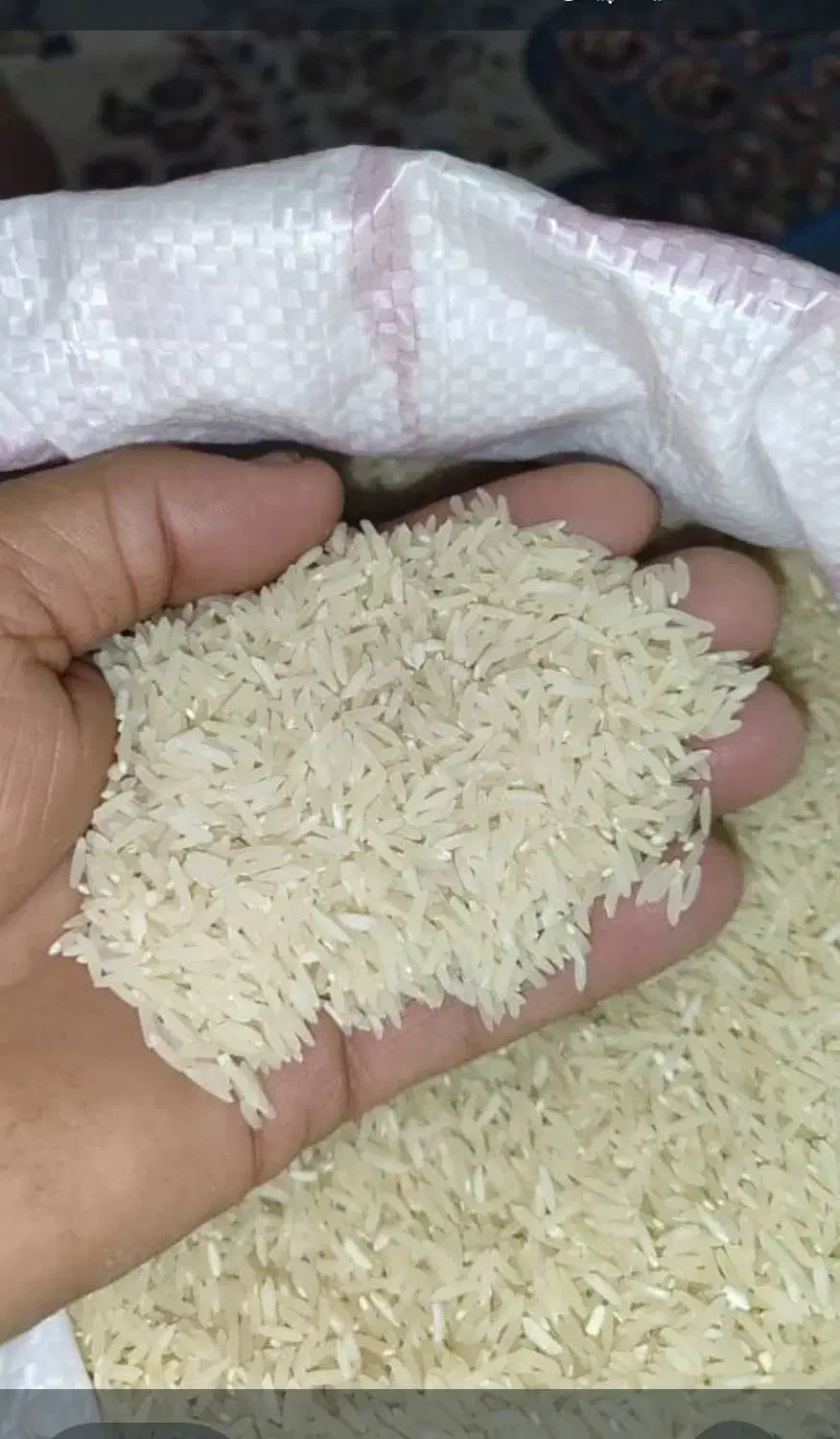 برنج طارم|خوردنی و آشامیدنی|گیلان غرب, |دیوار