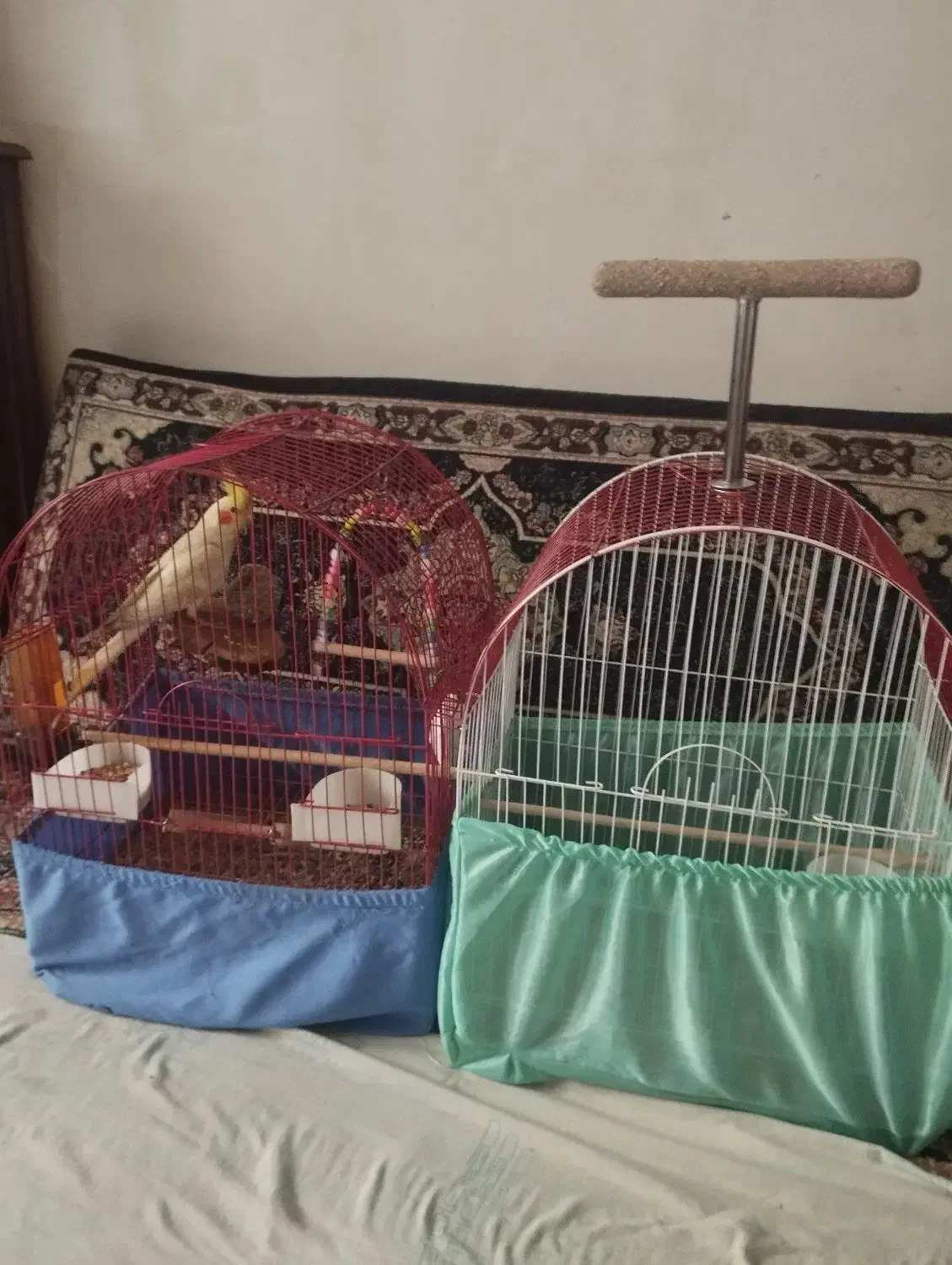 قفس|لوازم جانبی حیوانات|تهران, خزانه|دیوار