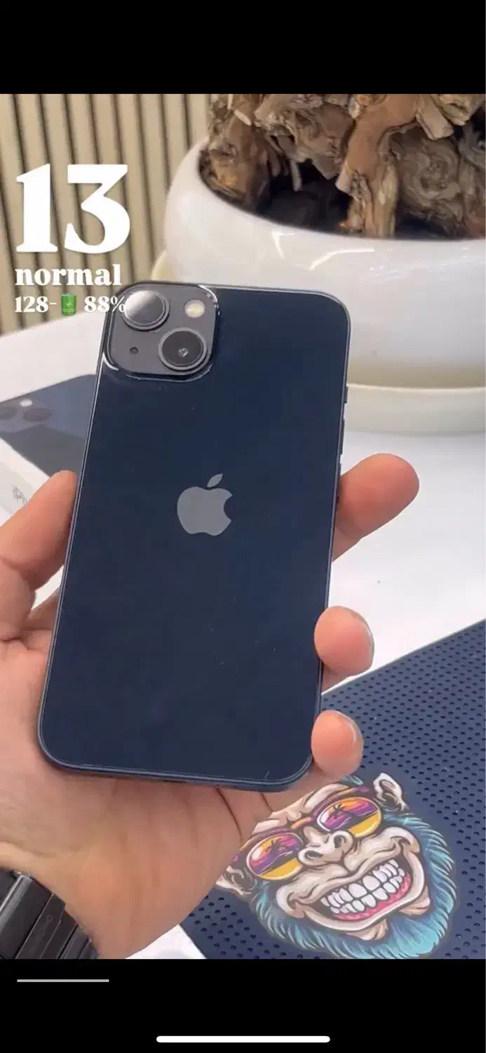 iPhone 13|موبایل|مشهد, گلبرگ|دیوار