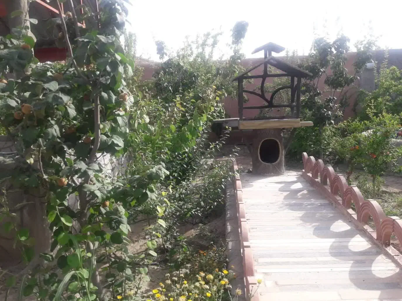 فروش باغ و ویلا|فروش خانه و ویلا|پیر بکران, |دیوار