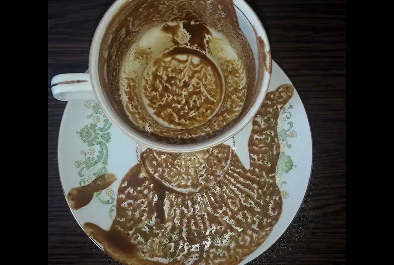 فال قهوه و تاروت و پاسور ارمنی|خدمات پذیرایی، مراسم|تهران, الهیه|دیوار