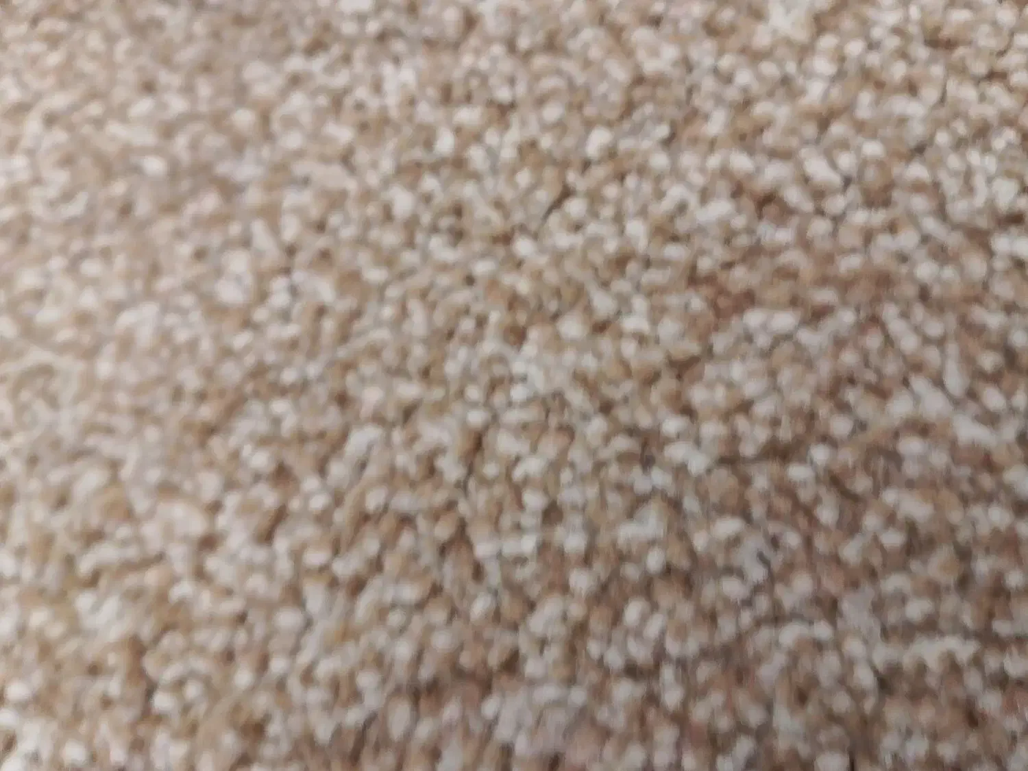 تور اسبکی|ماهیگیری|بردخون, |دیوار