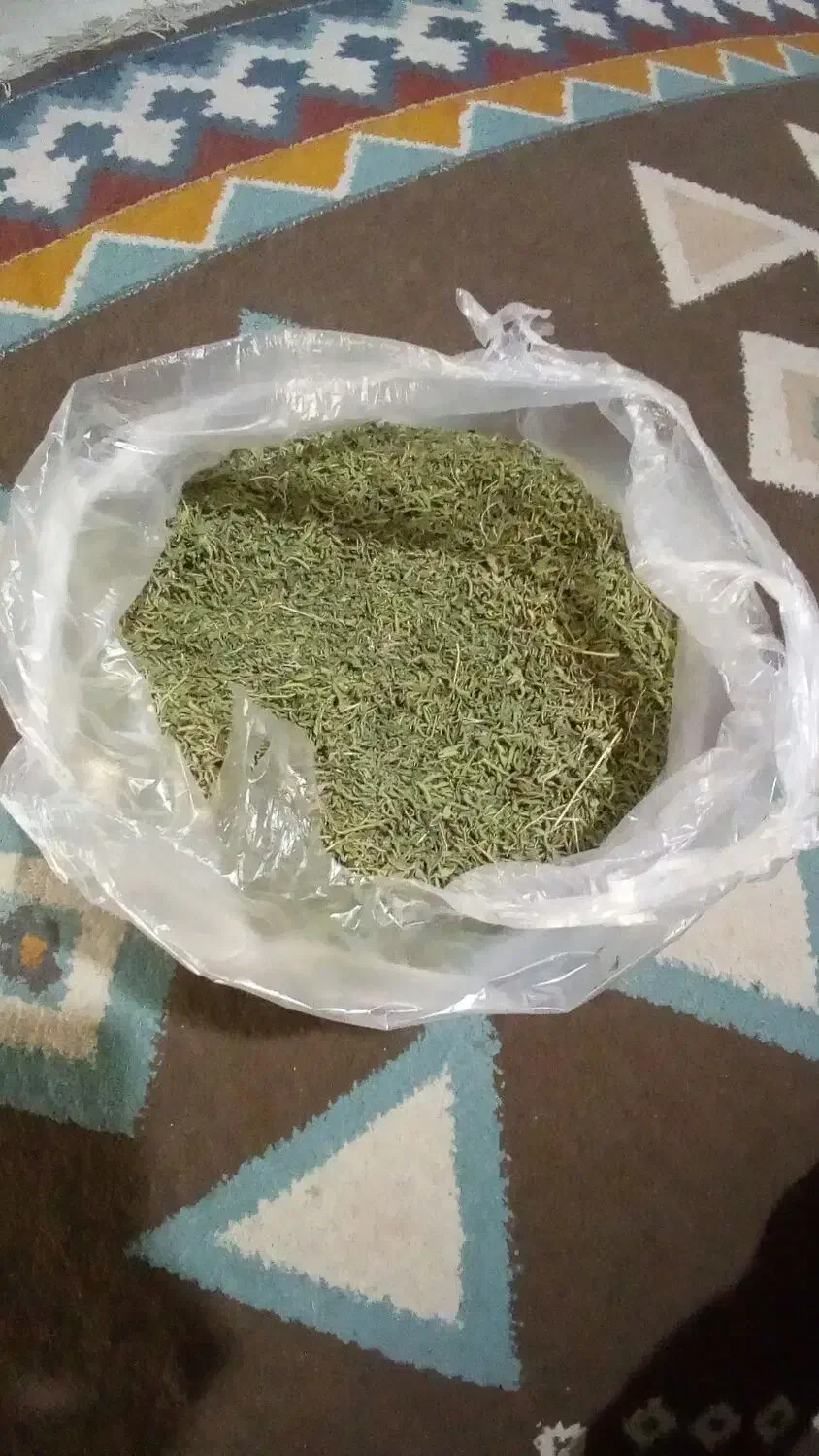 مرزه|خوردنی و آشامیدنی|مشهد, راه آهن|دیوار