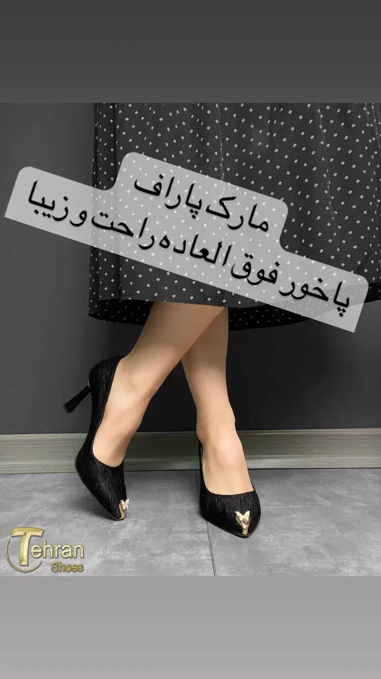 مجلسی پاشنه شش سانت|کیف، کفش، کمربند|قم, صفائیه|دیوار