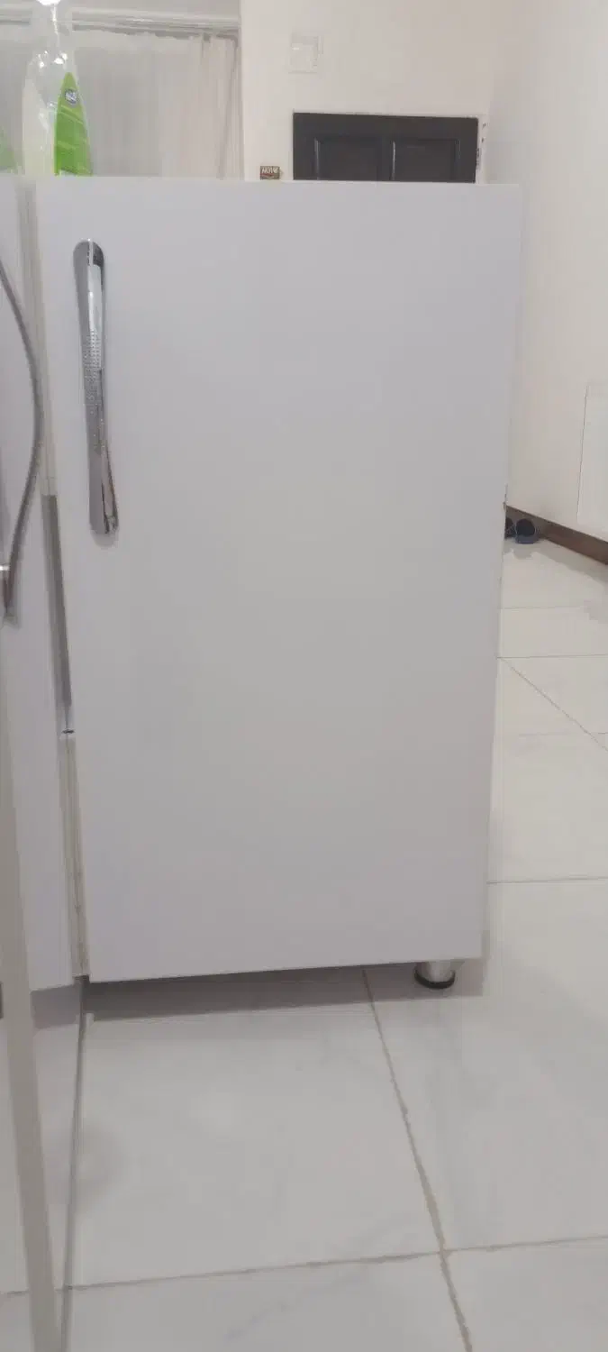 کابینت نو|کتابخانه، شلف، قفسه‌های دیواری|سبزوار, غرب نیروگاه|دیوار