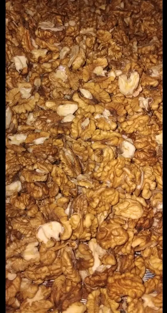 مغز گردو|خوردنی و آشامیدنی|بهشهر, |دیوار