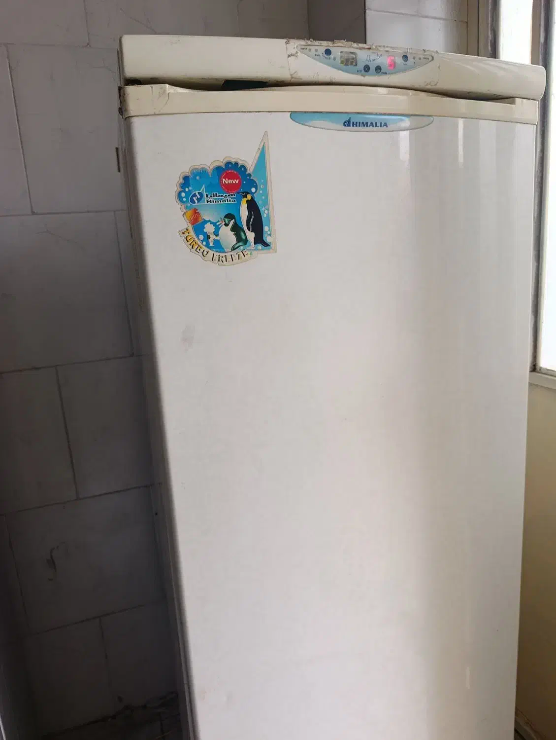 یخچال فریزر|یخچال و فریزر|یاسوج, |دیوار