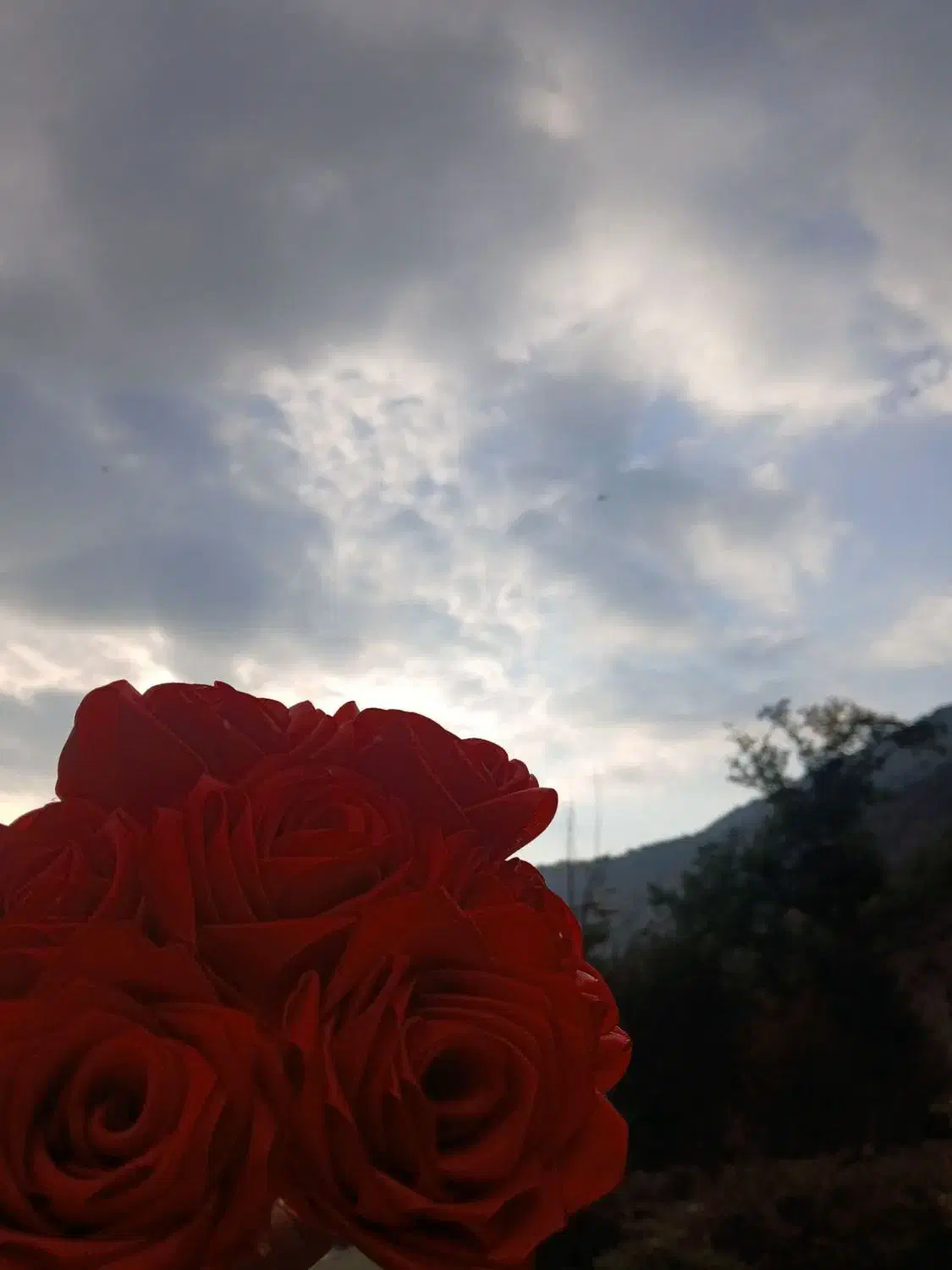 گل روبانی|گل مصنوعی|علی‌آباد کتول, |دیوار