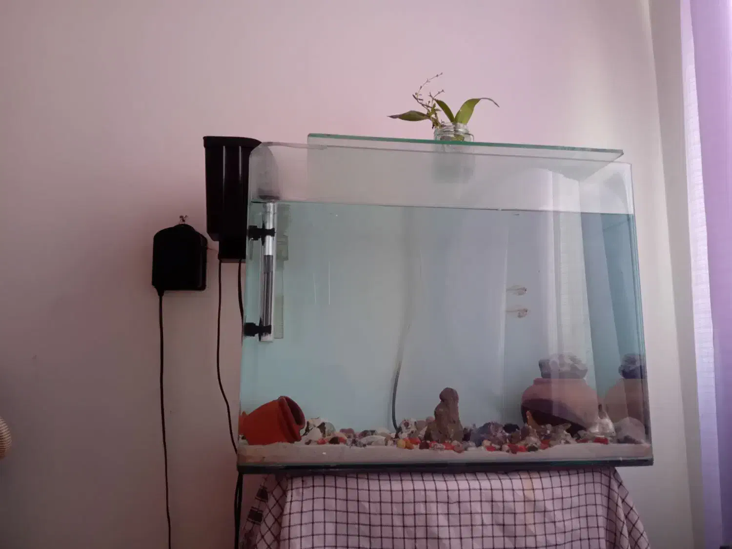 اکواریوم شیشه خم قوی فوری|ماهی|پرند, فاز ۶|دیوار