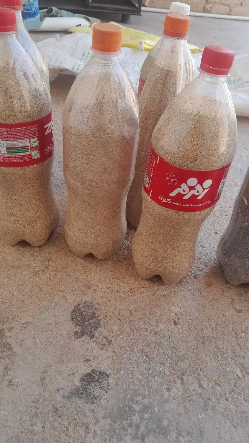 گیاه دارویی|گل و گیاه طبیعی|کوهدشت, |دیوار