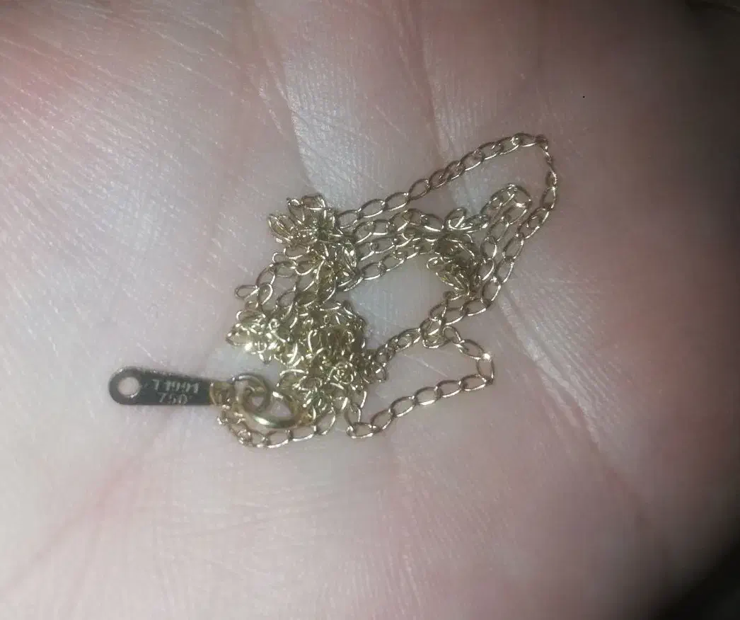 زنجیر بدون پلاک. گوشواربخیه ای. پلاک کادویی|جواهرات|یاسوج, |دیوار