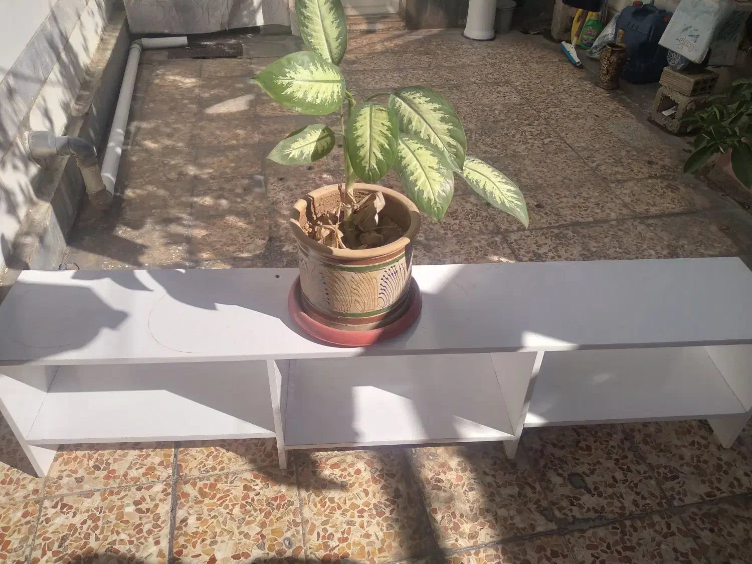 زیر گلدانی تر تمیز ومحکم جنس ام دی اف جا دار|گل و گیاه طبیعی|ایذه, |دیوار