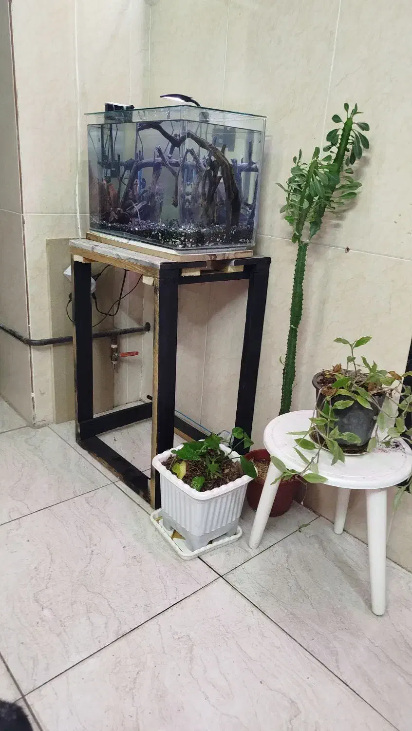 آکواریوم با پایه فروشی یا معاوضه|ماهی|اسلامآباد غرب, |دیوار