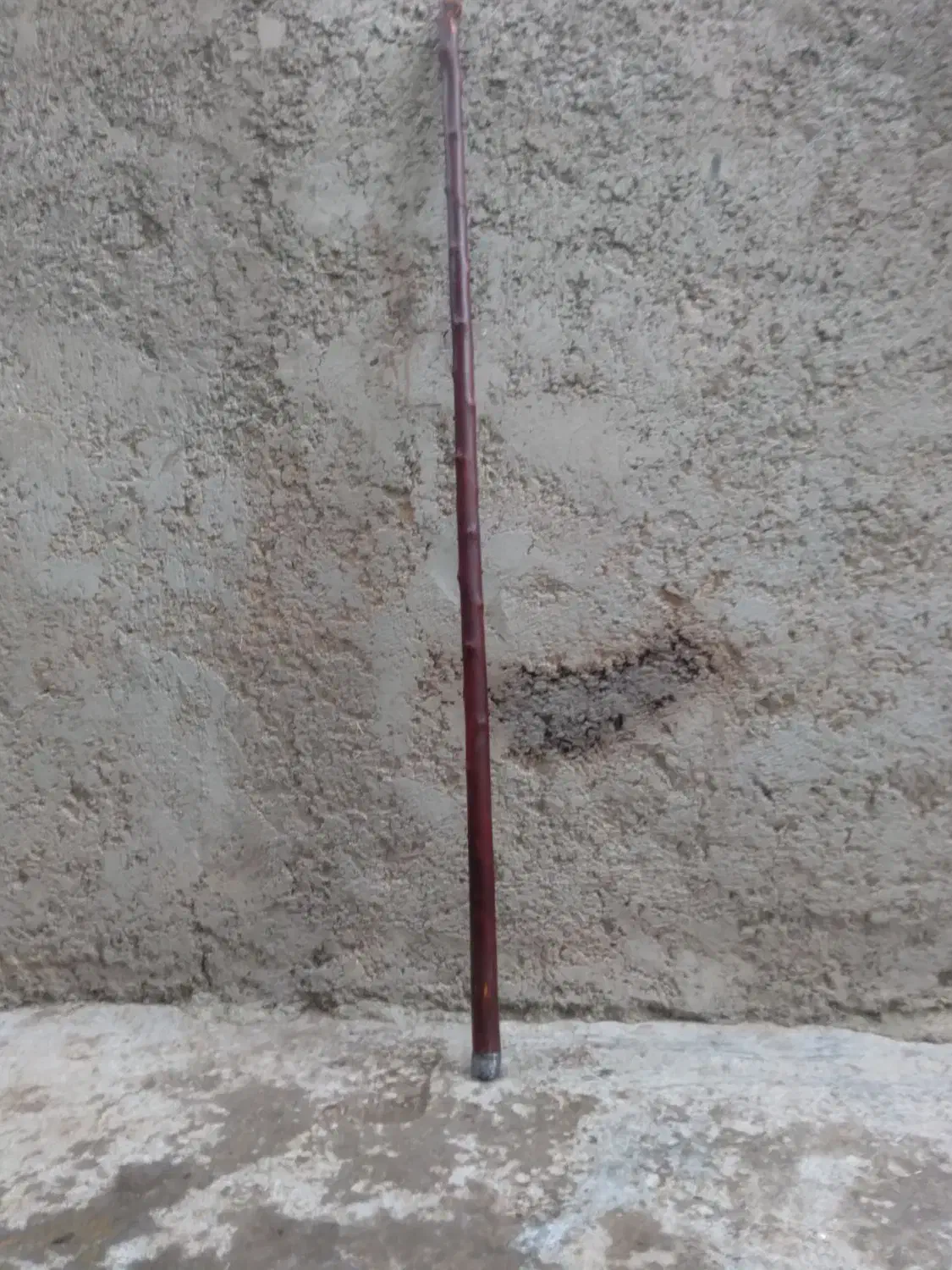 چوب یمیشان|گل و گیاه طبیعی|گرمی, |دیوار