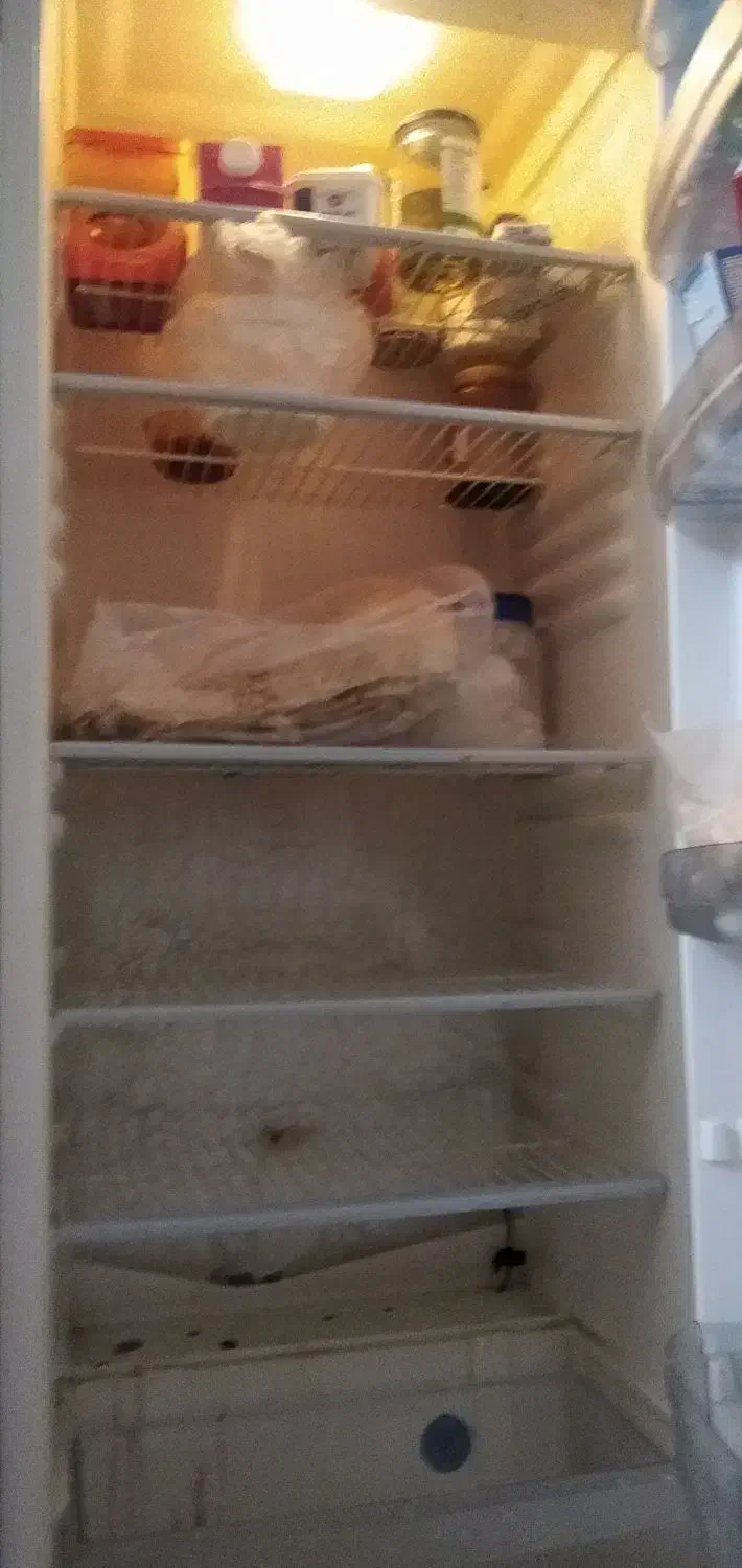 فروش یخچال و فریزر|یخچال و فریزر|آغاجاری, |دیوار