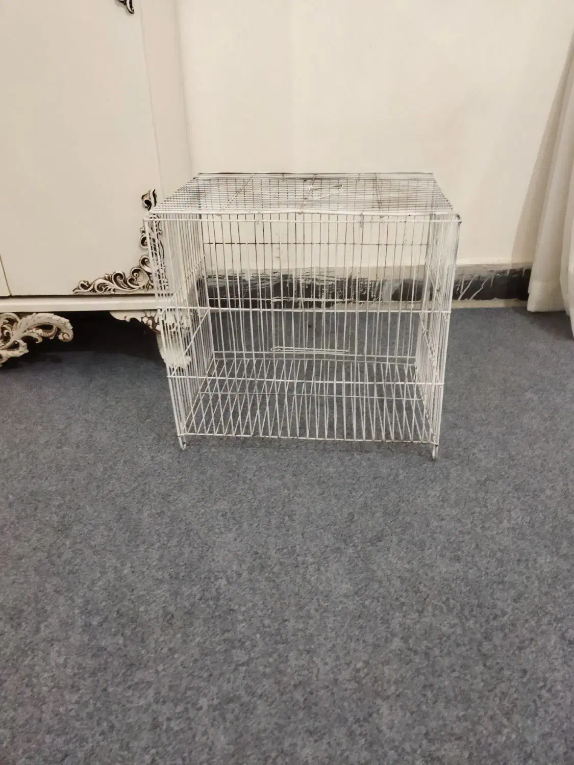 قفس|لوازم جانبی حیوانات|آبدانان, |دیوار