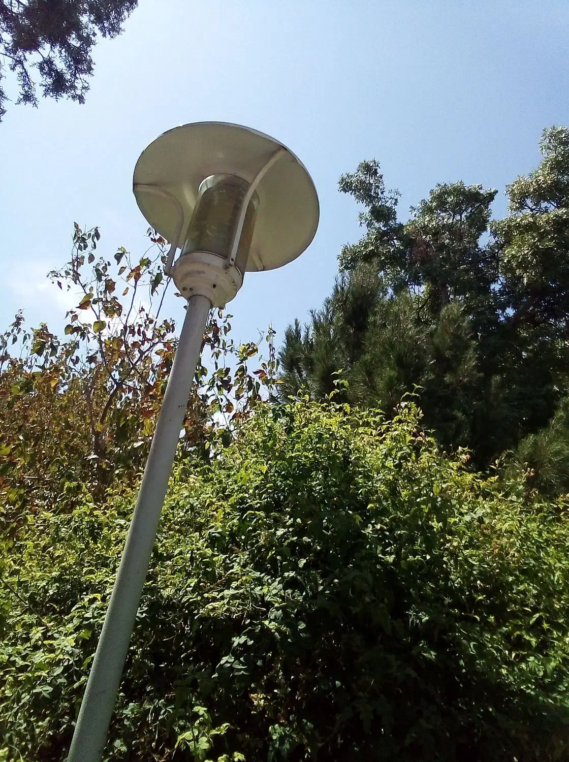 پیشه ومهارت|خدمات پیشه و مهارت|داراب, |دیوار