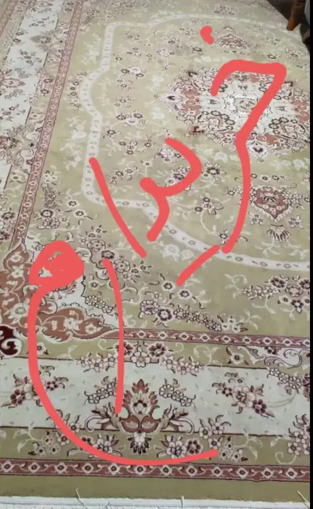 دوچرخه|دوچرخه، اسکیت، اسکوتر|سبزوار, غرب نیروگاه|دیوار