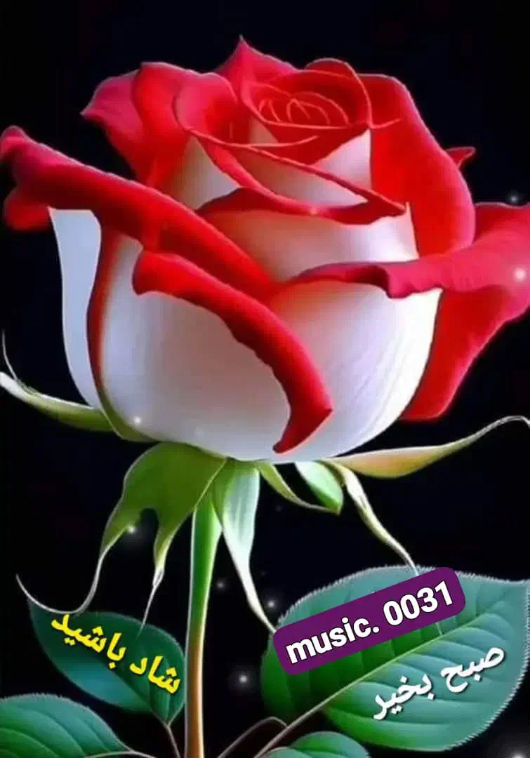 راهنمایی میکنم برای رفع درد سیاتیک|فعالیت داوطلبانه|فولادشهر, مسکن مهر فولادشهر|دیوار