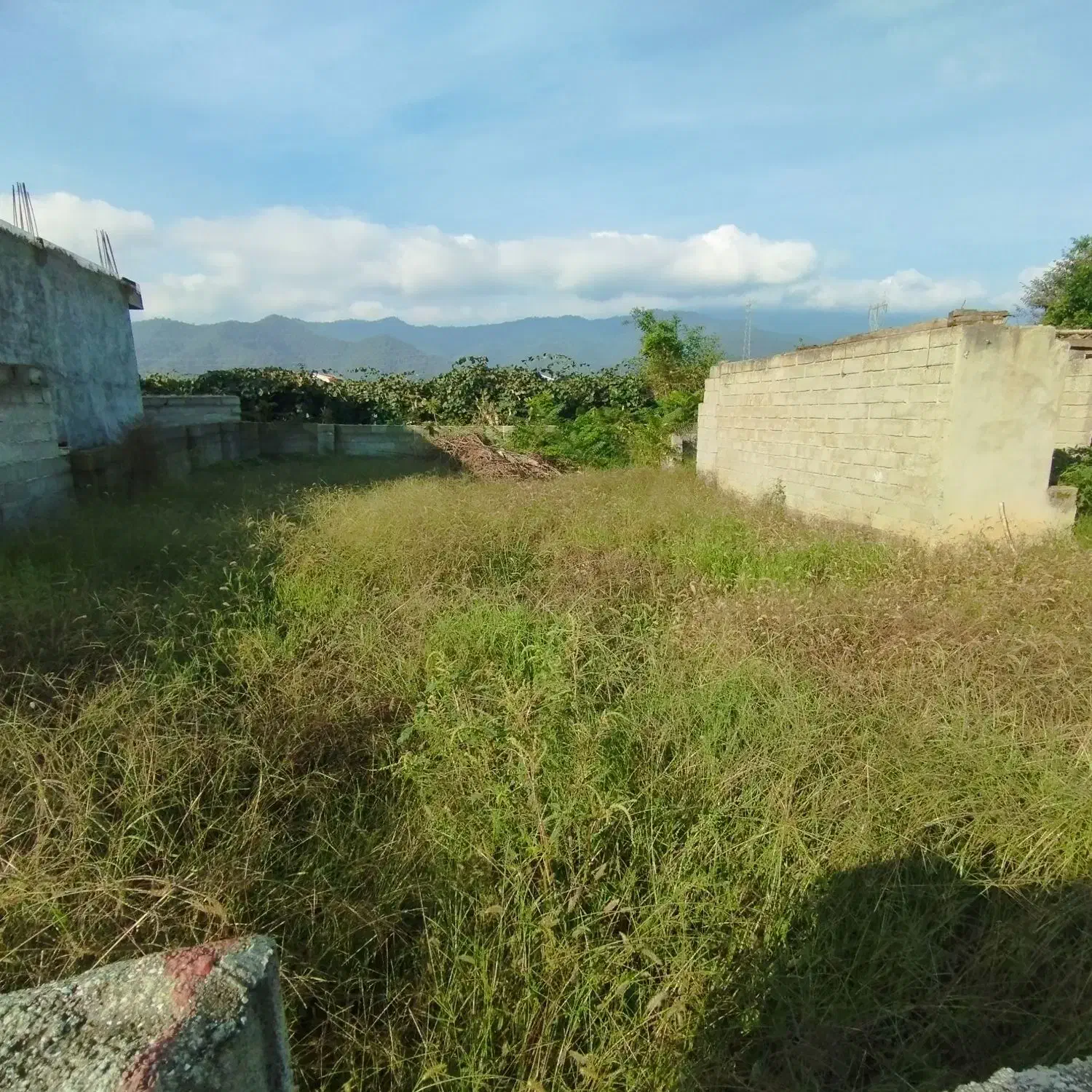 300متر زمین مسکونی باویلای مخروبه تالش|فروش خانه و ویلا|لیسار, |دیوار