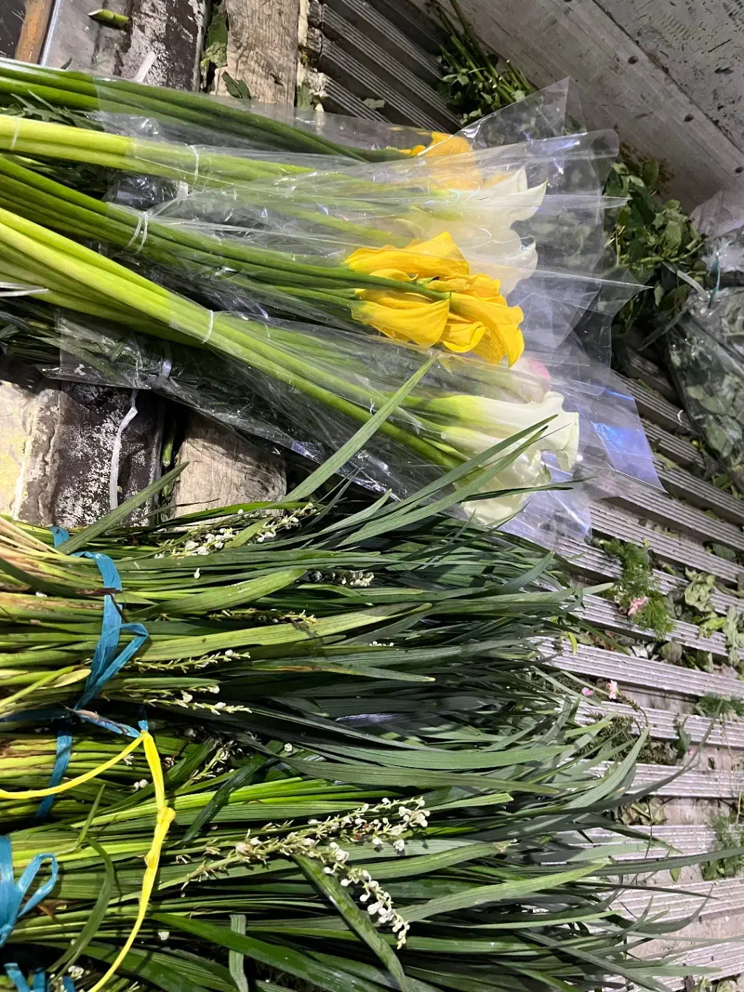 استخدام نیرو برای کار در پخش گل|استخدام خدمات فروشگاه و رستوران|شیراز, رکن‌آباد|دیوار