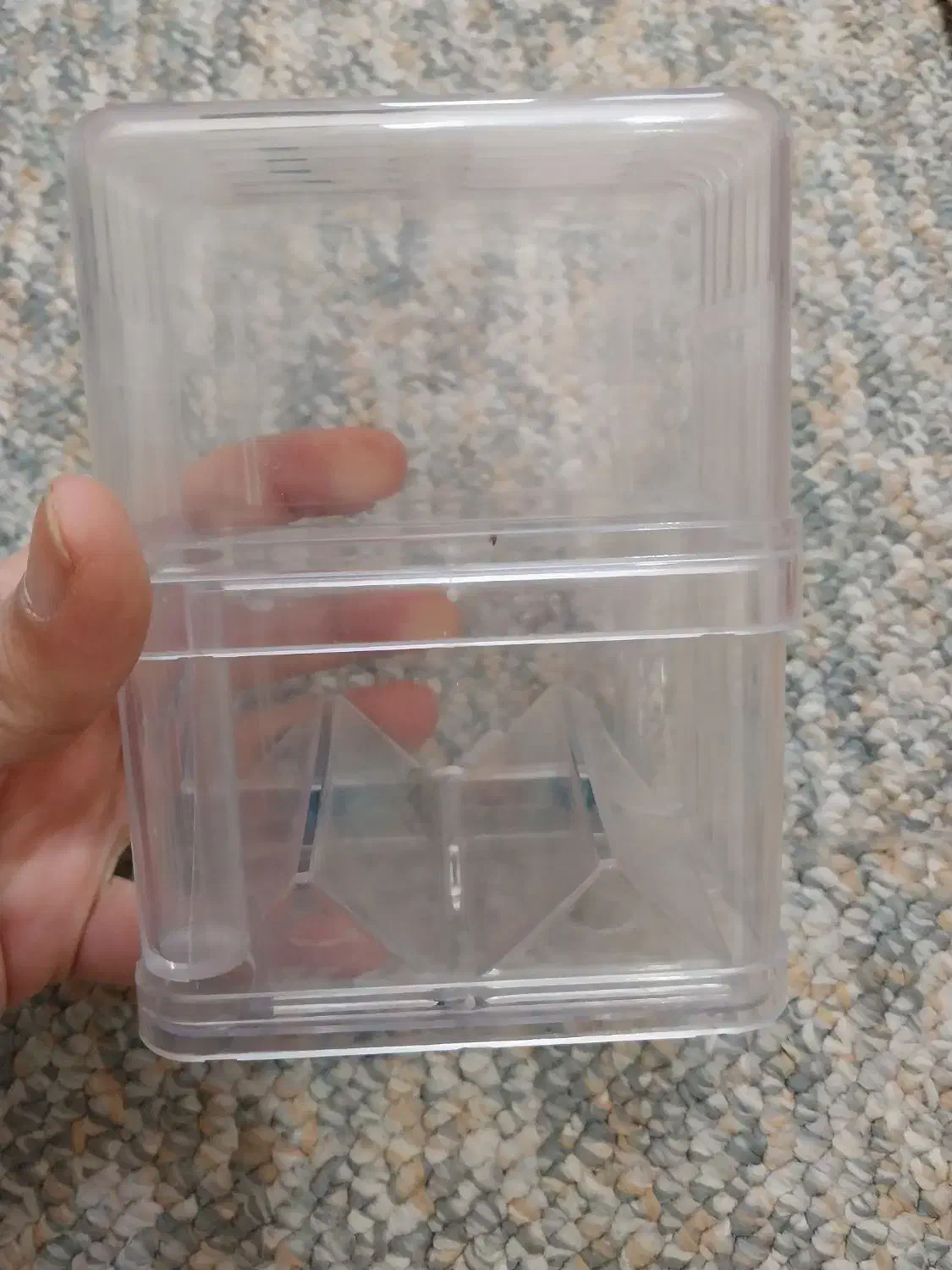 فروش آکواریوم به دلیل مهاجرت|ماهی|کازرون, |دیوار