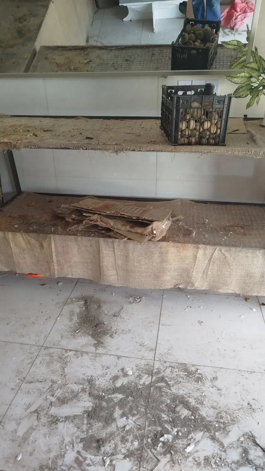 بساط میوه فروشی|فروشگاه و مغازه|تربتحیدریه, حسنی بالا|دیوار