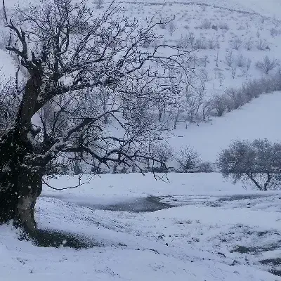 سفر در دل طبیعت|تور و چارتر|بوکان, |دیوار