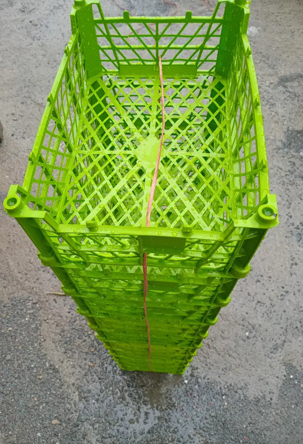 سبد ۴ کیلویی|عمده‌فروشی|آستارا, |دیوار