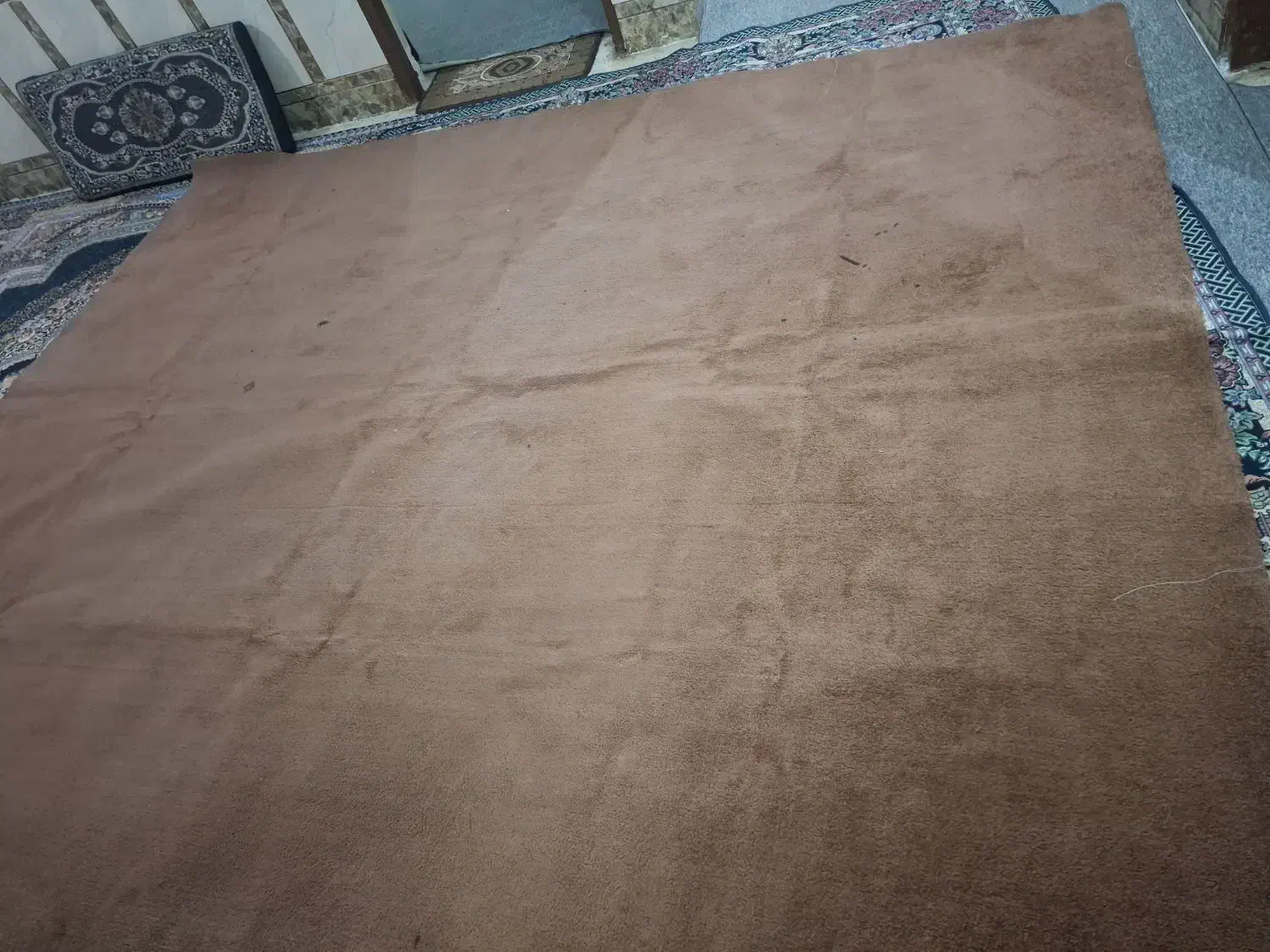 پلاز موکت قهوه ای|موکت|آبادان, |دیوار