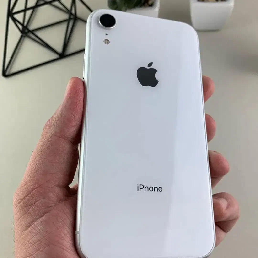 Iphone XR 128 GB نو ترین ( دو سیم )|موبایل|رشت, گلسار|دیوار