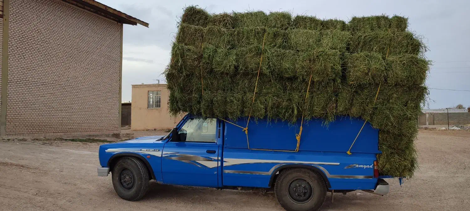 یونجه|حراج|قیدار, |دیوار