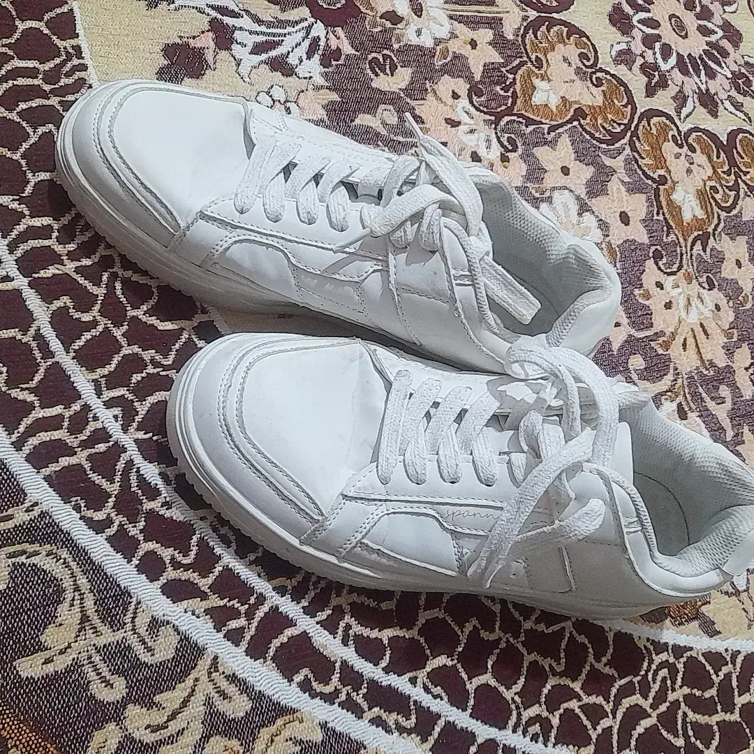 کتونی|کیف، کفش، کمربند|زابل, |دیوار