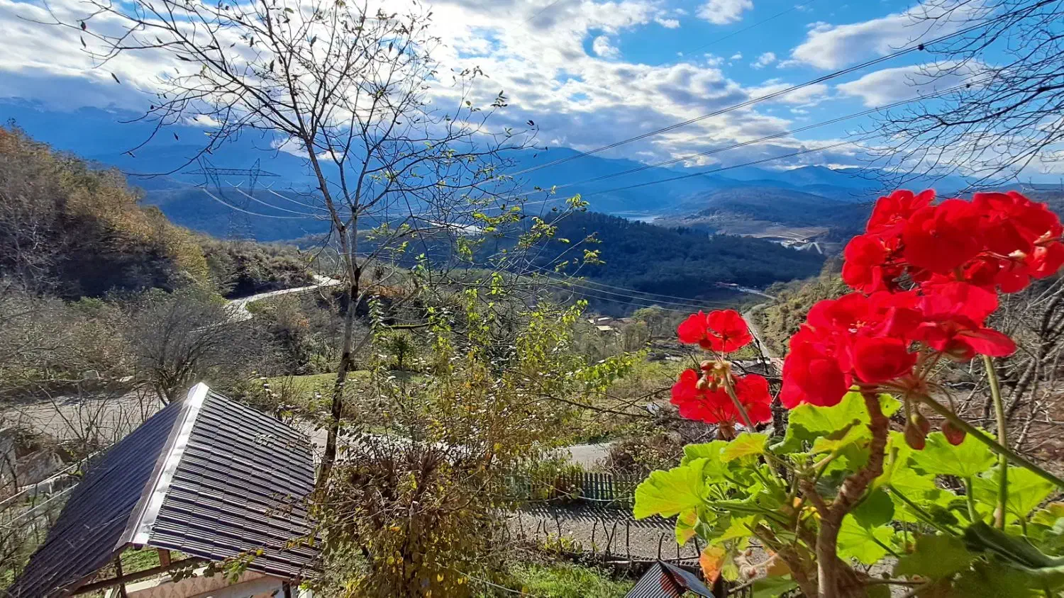 کلبه دوبلکس جنگلی ۲کیلومتری سد لفور|اجارهٔ کوتاهمدت ویلا و باغ|شیرگاه, |دیوار