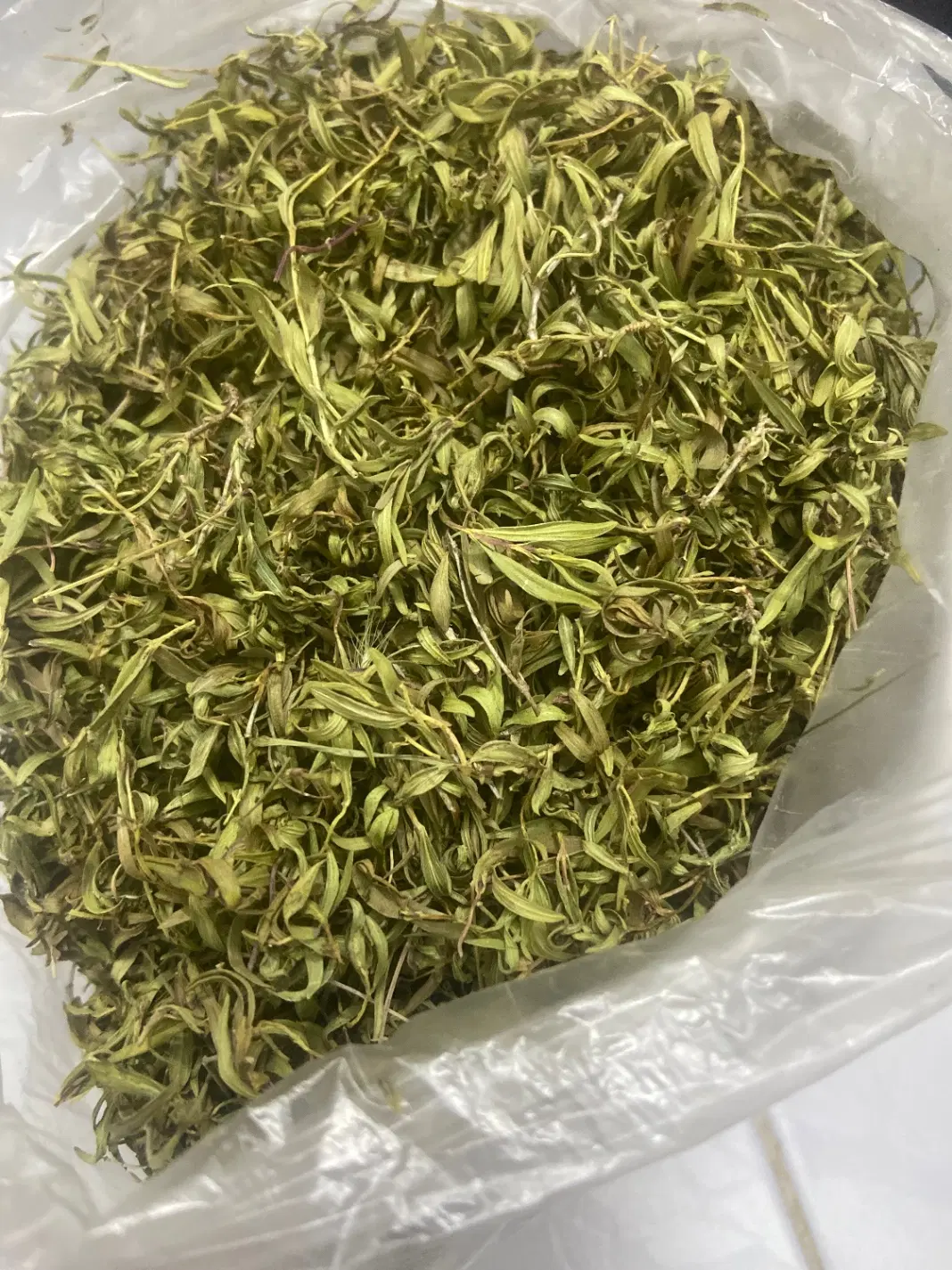 آویشن کوهی|خوردنی و آشامیدنی|اصفهان, امیرعرب|دیوار