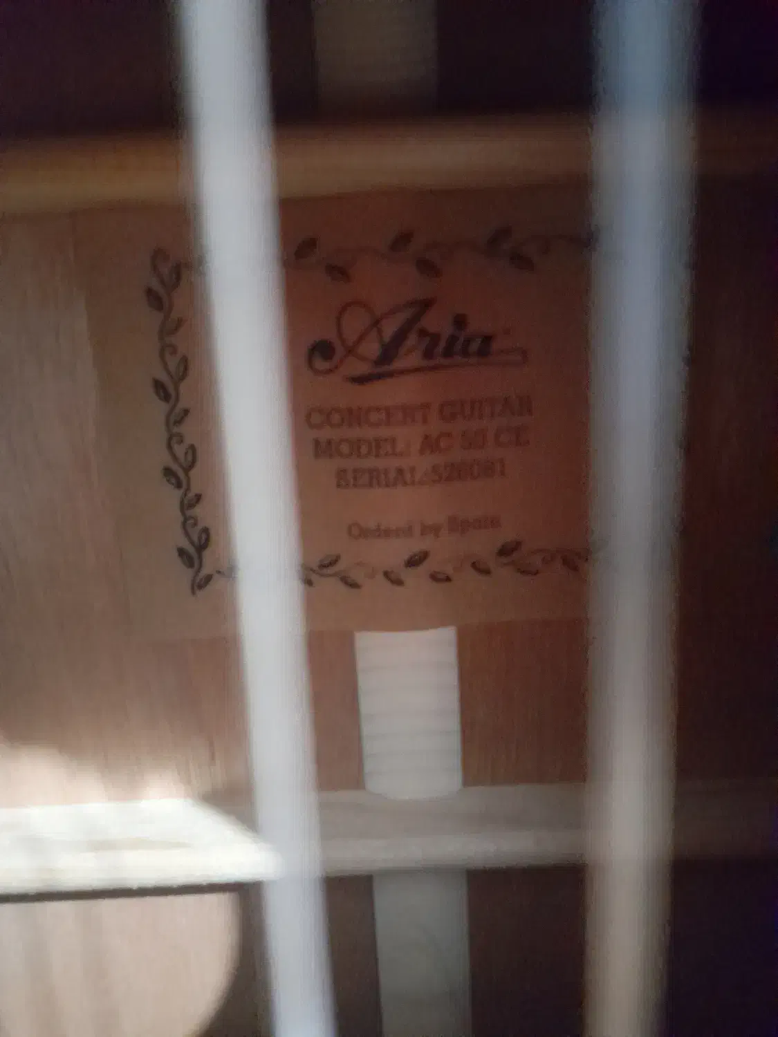 Aria ac50ce|گیتار، بیس، امپلیفایر|ساری, |دیوار