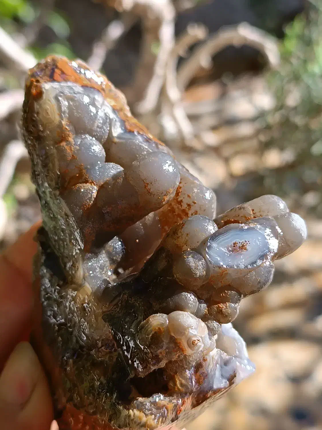 ۴۳ قطعه عقیق کلکسیونی|جواهرات|محمدشهر, همایون ویلا|دیوار