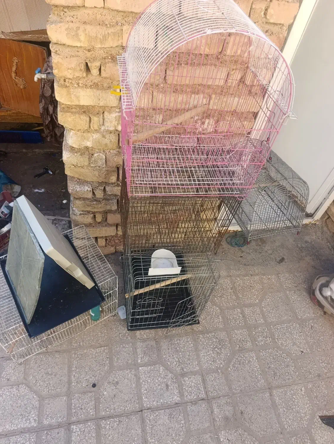 قفس|لوازم جانبی حیوانات|شیراز, کوشک میدان|دیوار