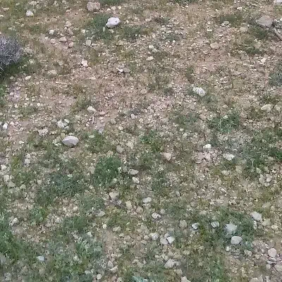 3000مترزمین صنعتی در شهرک صنعتی ق توافقی|فروش زمین و ملک کلنگی|سیدان, |دیوار